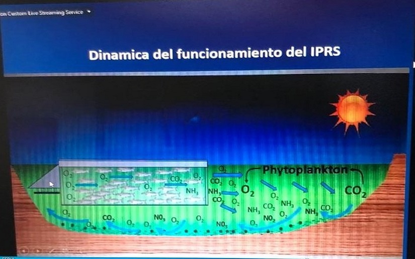 INPESCA